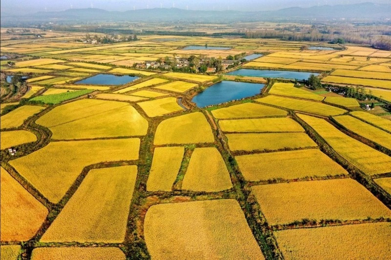 Từ nay, chuyển đất nông nghiệp sang đất thổ cư sẽ phải đóng khoản phí nào?- Ảnh 1.