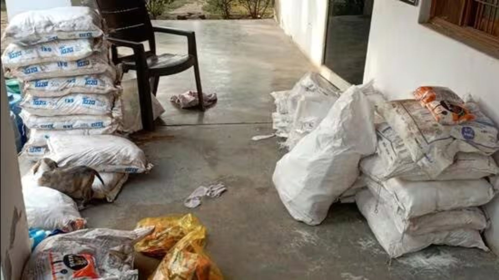 Đột kích một nhà máy, triệt phá đường dây dùng muối để ướp xác động vật xuất thay cho muối tinh luyện để tuồn ra thị trường- Ảnh 1.