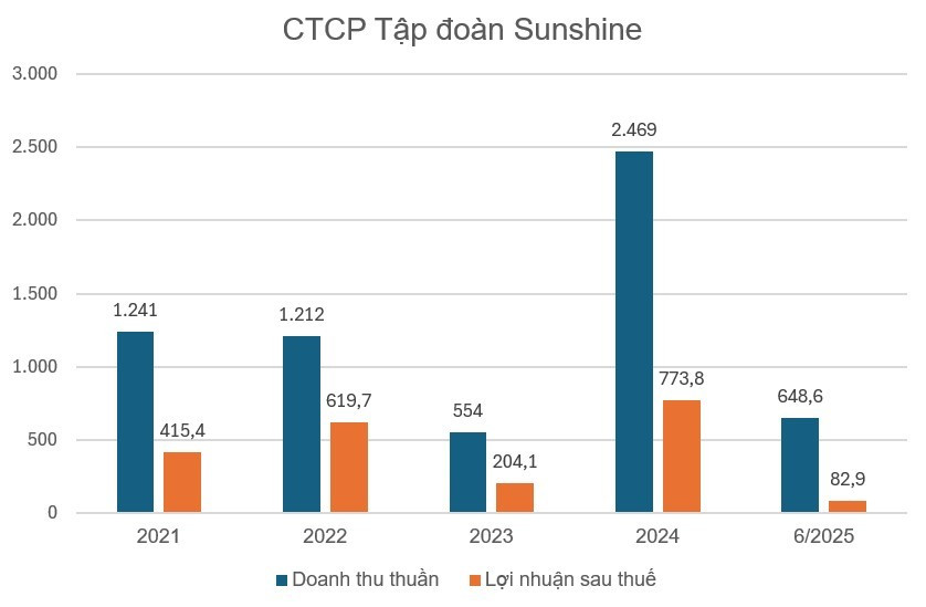 Sunshine Group (KSF) phát hành xong gần 600 triệu cổ phiếu mới, hợp nhất thành công với 'người anh em Sunshine Homes - ảnh 2