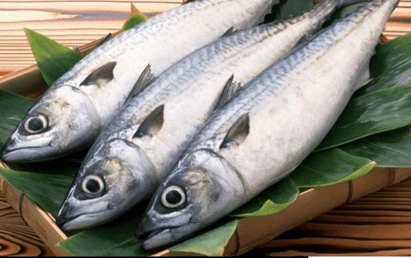 Ngỡ bình thường, loại cá này lại 'bổ không kém cá hồi': Chợ Việt bày bán đầy, ai cũng có thể mua- Ảnh 1.