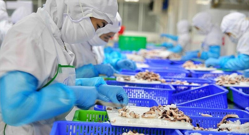 Tôm, cá ngừ vướng rào cản Mỹ: VASEP chỉ cách giúp thủy sản Việt đạt mục tiêu 10 tỷ USD xuất khẩu - ảnh 1