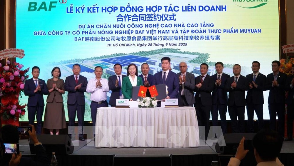BAF và đối tác Trung Quốc làm 'chung cư nuôi heo' 12.000 tỷ đồng đầu tiên tại Việt Nam, Xuân Thiện, Dabaco... cũng muốn nhập cuộc - ảnh 1