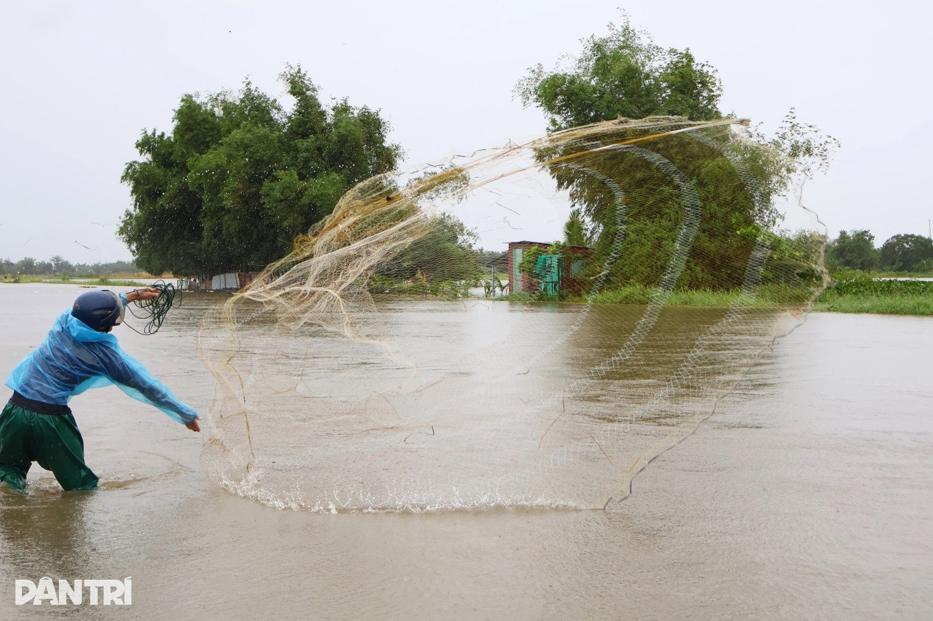 Người dân Đà Nẵng đội mưa đi săn 'lộc trời' sau bão Bualoi, đặc sản vừa kéo lên đã bán sạch trong 15 phút- Ảnh 1.