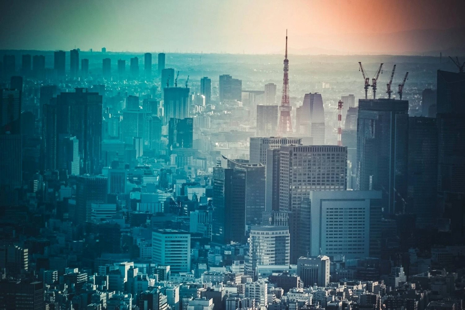 tokyo-song-3.jpg