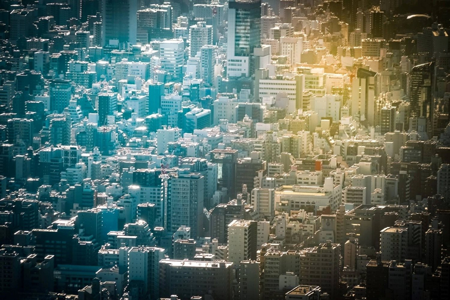 tokyo-song-5.jpg