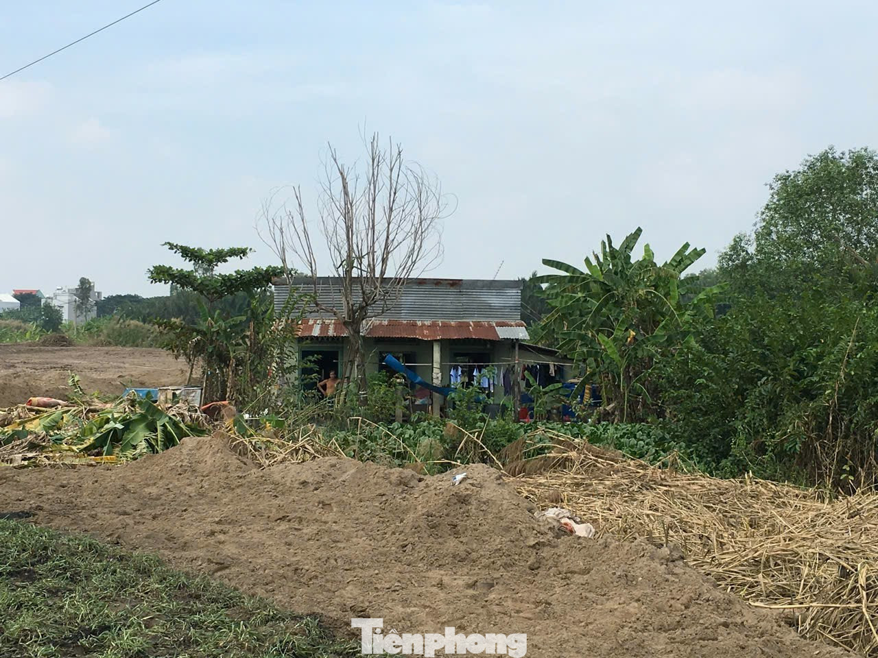 tp-3.jpg