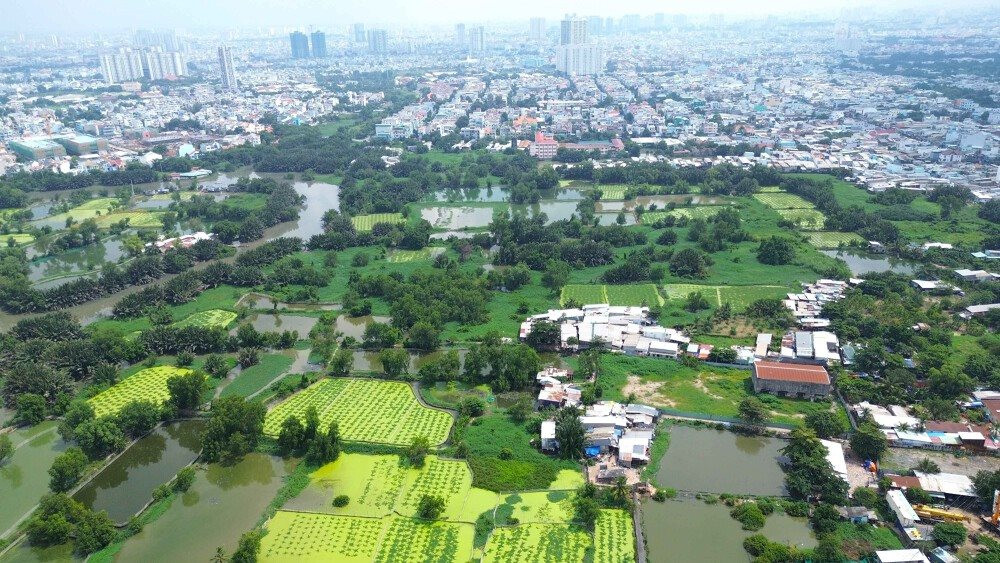 dji0028-compressed-20240806162856585.jpg