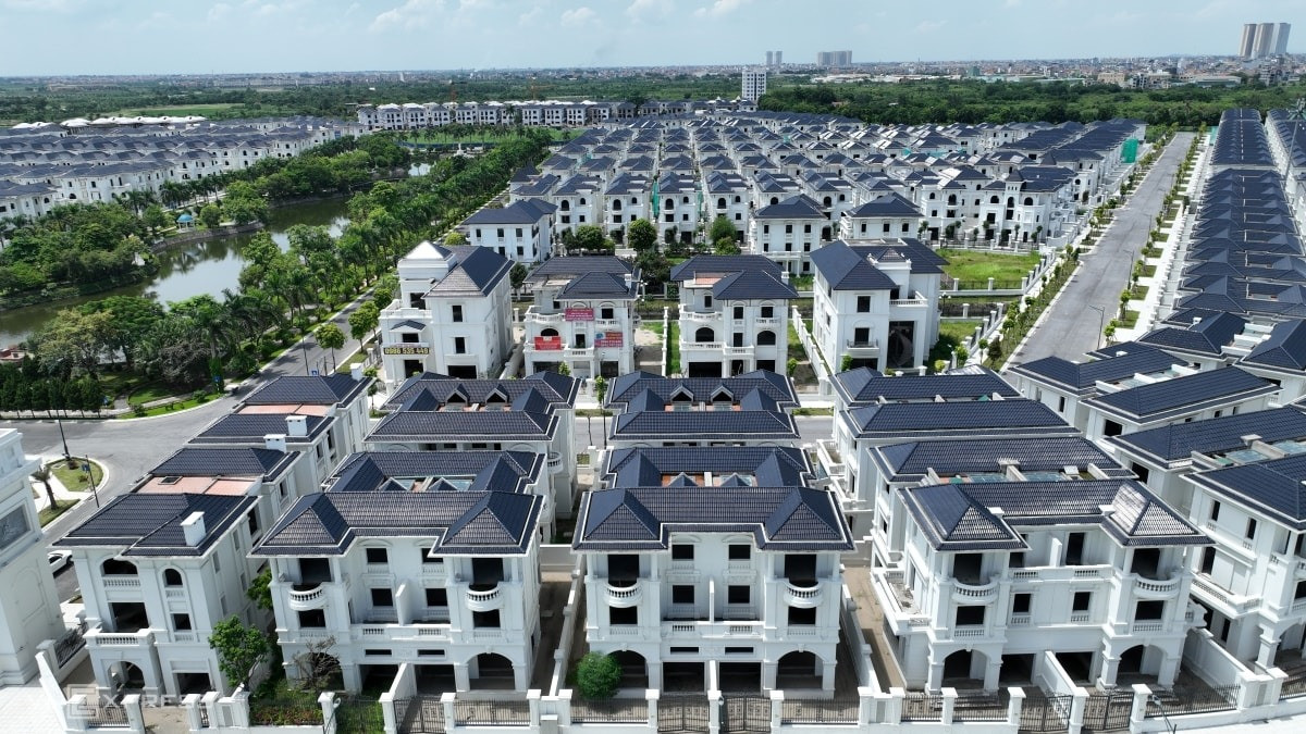 Đánh thuế đất bỏ hoang: Giải pháp cấp bách để lập lại kỷ cương thị trường bất động sản- Ảnh 2.