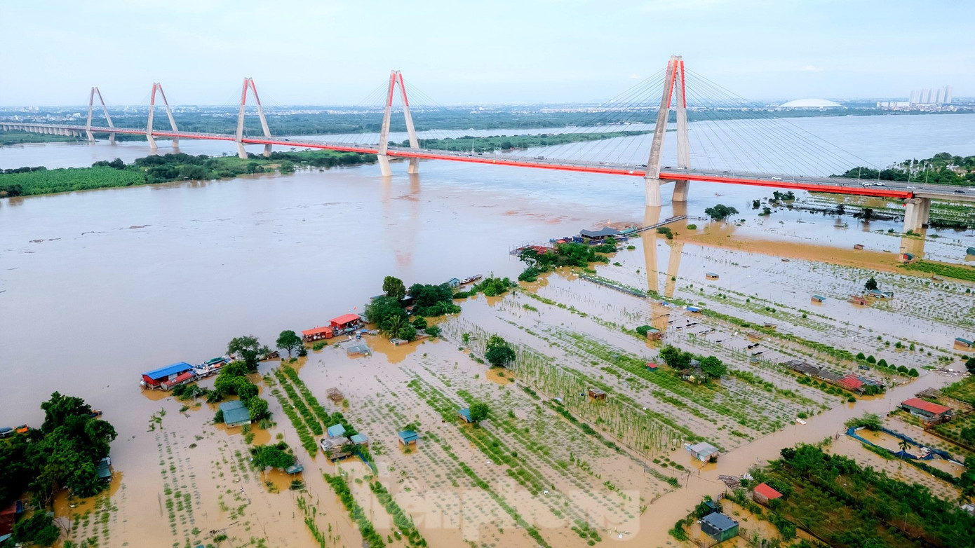 Tới chiều 2/20, những gốc đào, quất của làng Nhật Tân và Phú Thượng vẫn chìm trong biển nước. Theo Trung tâm Dự báo Khí tượng Thủy văn Quốc gia, trong ngày và đêm 2/10, lũ trên sông Hồng ở Long Biên lên chậm và duy trì ở mức trên báo động I. dji-0228.jpg