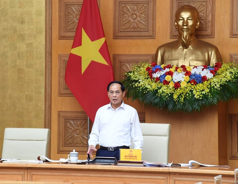 ANH 3