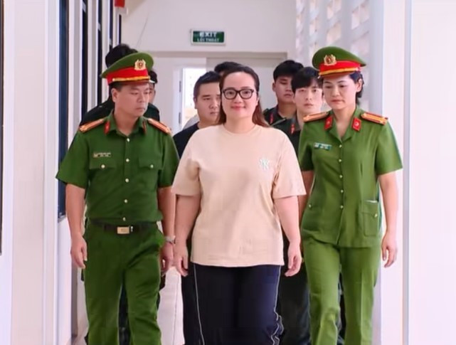 TS. LS Đặng Văn Cường phân tích trách nhiệm và mức án mà Hoàng Hường phải đối mặt - ảnh 1