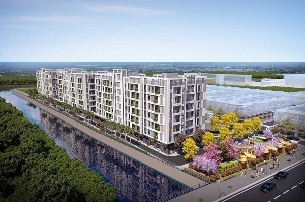 Tỉnh thuộc trung tâm vùng ĐBSCL xin giảm chỉ tiêu nhà ở xã hội- Ảnh 2.