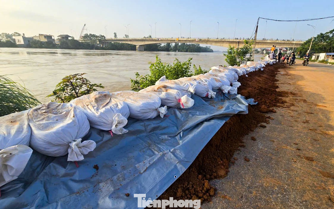 Sau hơn 5 giờ khẩn trương gia cố, khoảng 2 km đê sông Cầu đoạn qua phường Trung Thành đã được đắp cao thêm. Theo ghi nhận của PV Tiền Phong sáng 9/10, mặt đê đã được nâng lên khoảng 1m so với trước. tp-tienphong-2.jpg