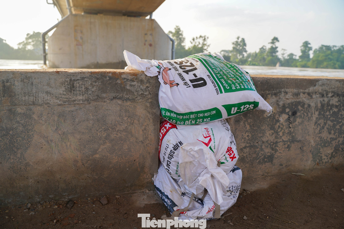 tp-tienphong-23.jpg