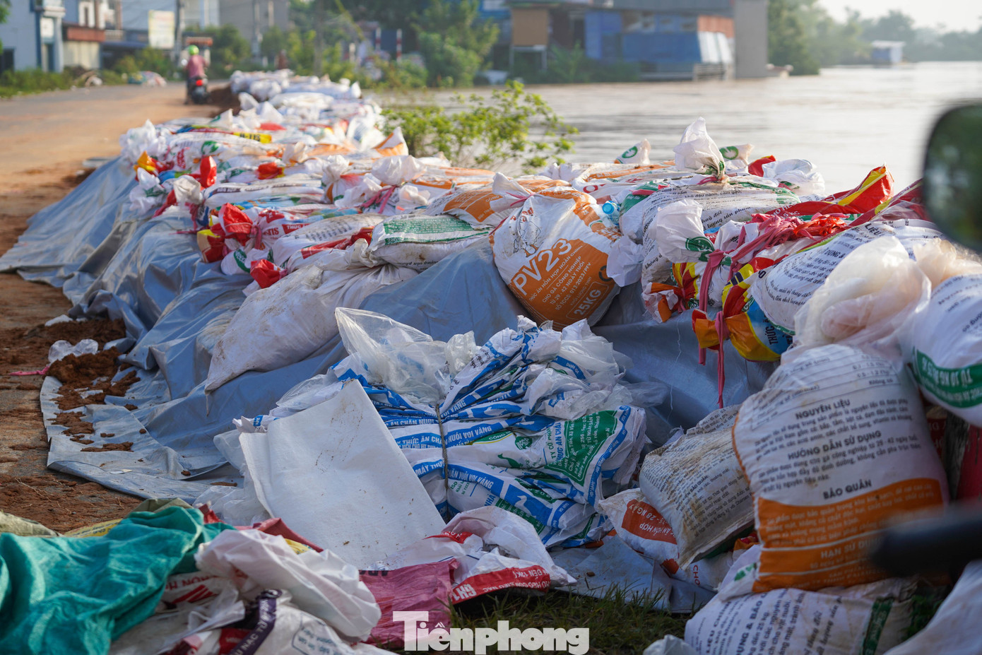 tp-tienphong-27.jpg