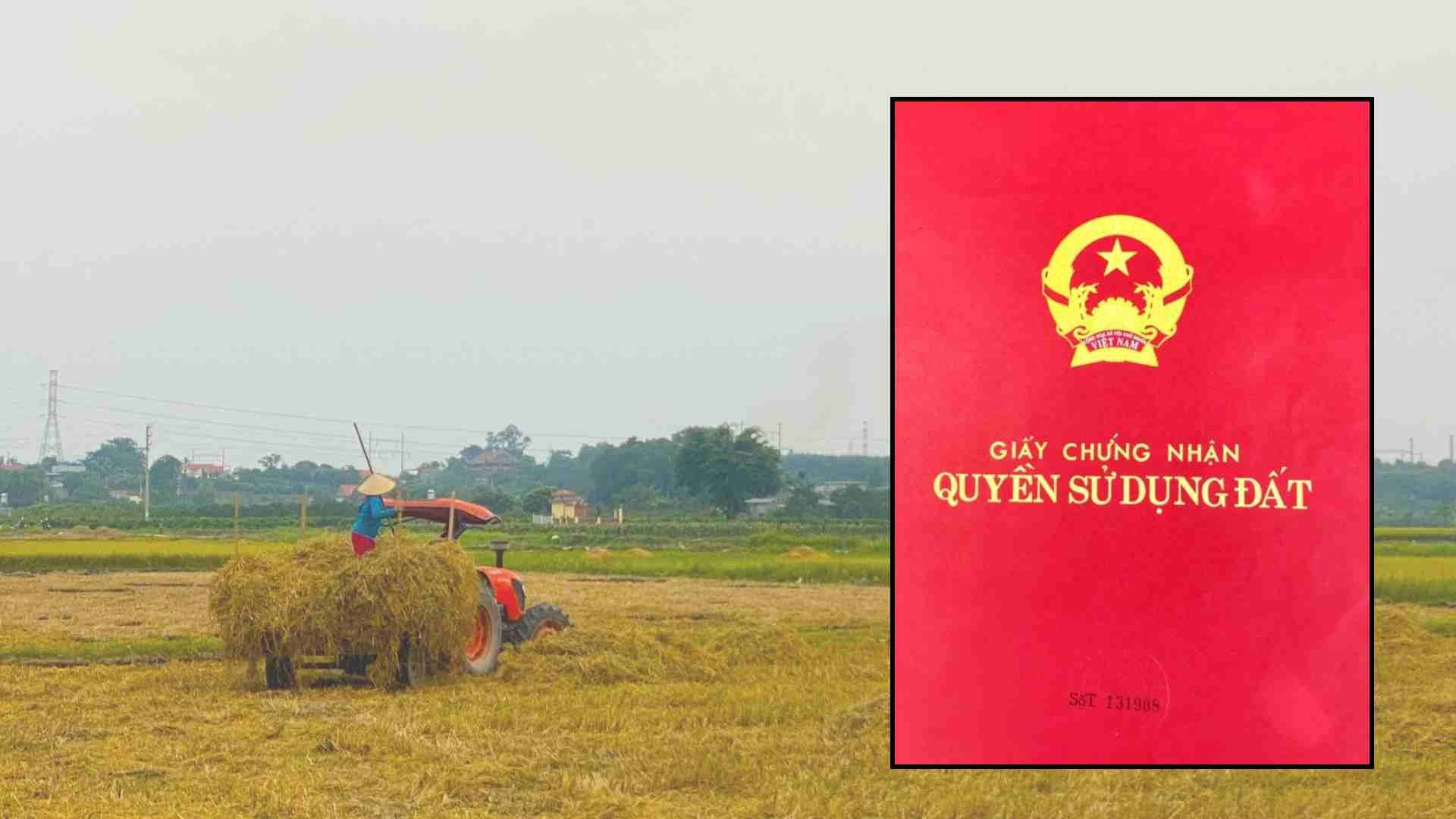Kể từ nay, những trường hợp này sẽ được cấp đổi sổ đỏ theo quy định- Ảnh 1. Kể từ nay, những trường hợp này sẽ được cấp đổi sổ đỏ theo quy định- Ảnh 1.