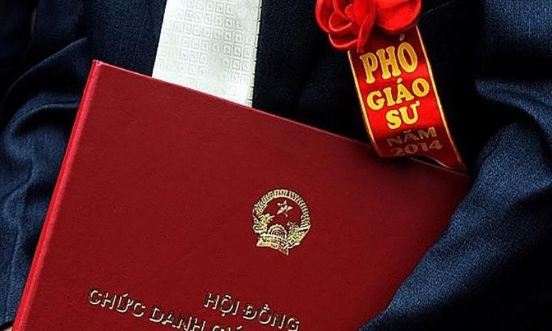 Gần 100 ứng viên giáo sư, phó giáo sư bị loại - ảnh 1