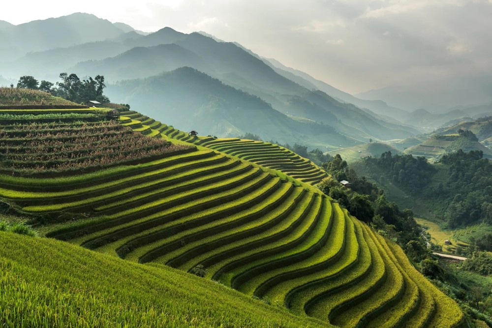 Việt Nam bất ngờ vượt Thái Lan, đón tin vui lớn - ảnh 2