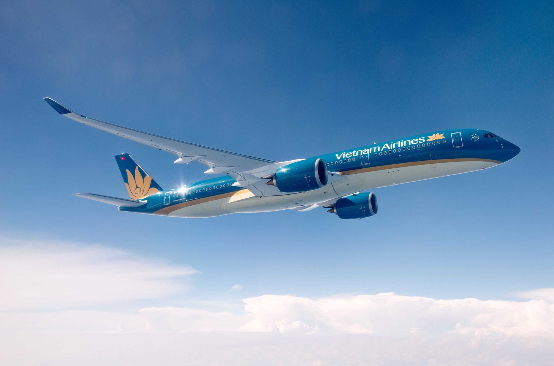 a350-1.jpg