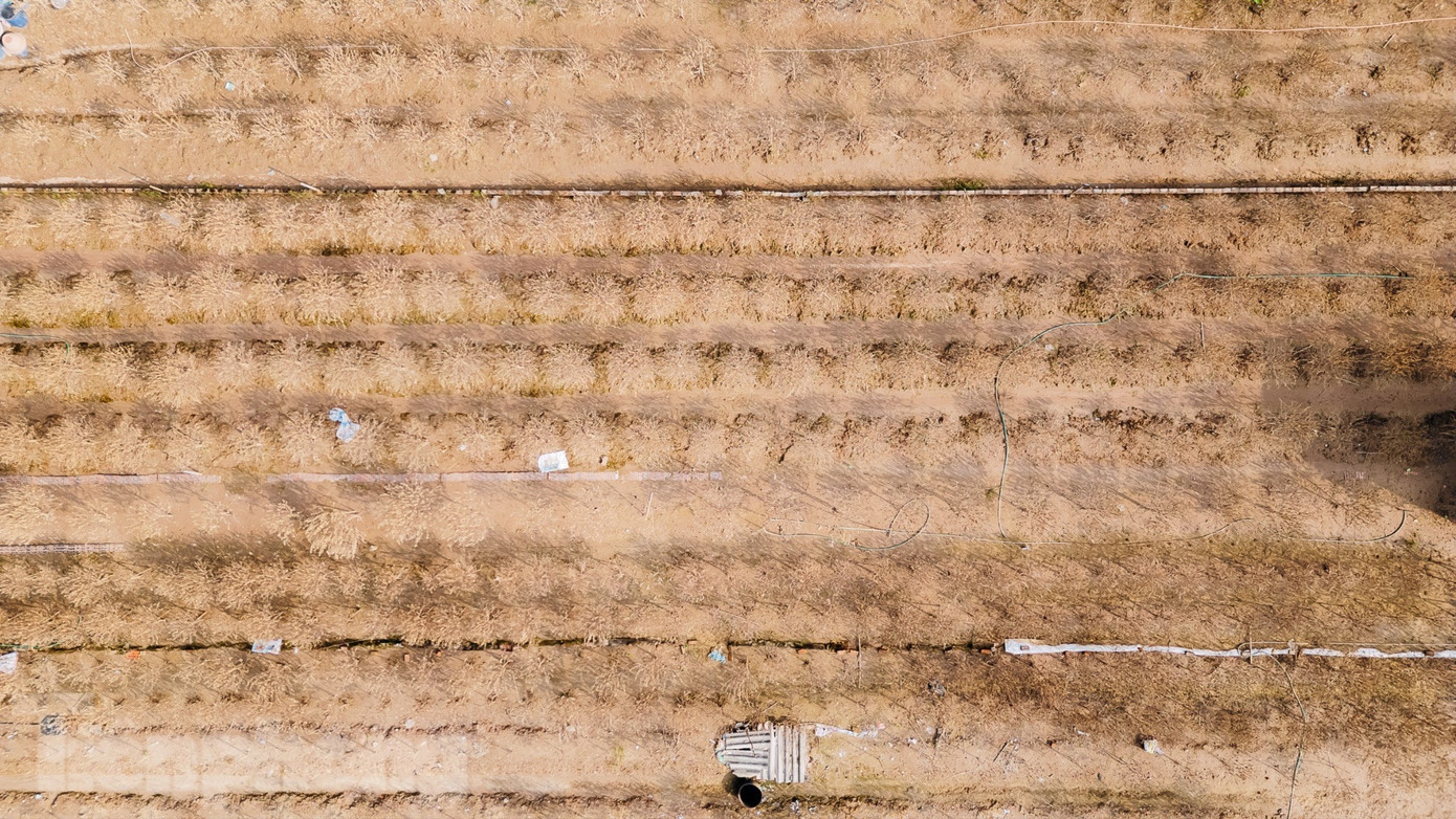dji-0250-2446.jpg
