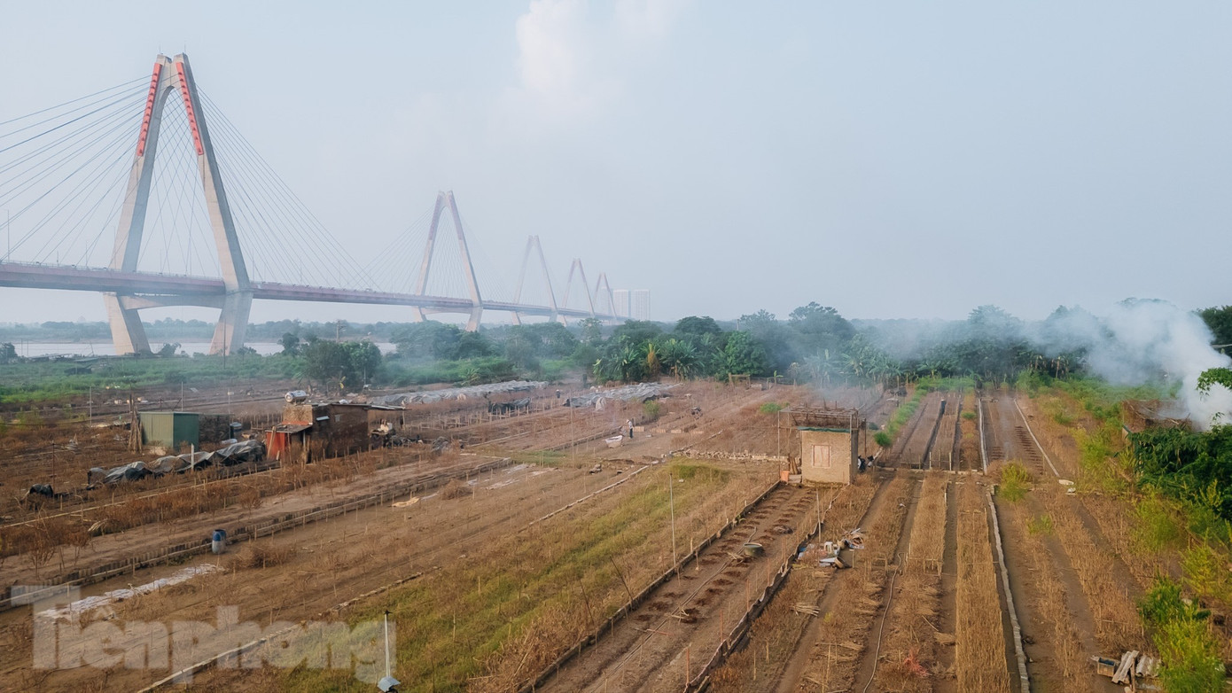 dji-0265-154.jpg