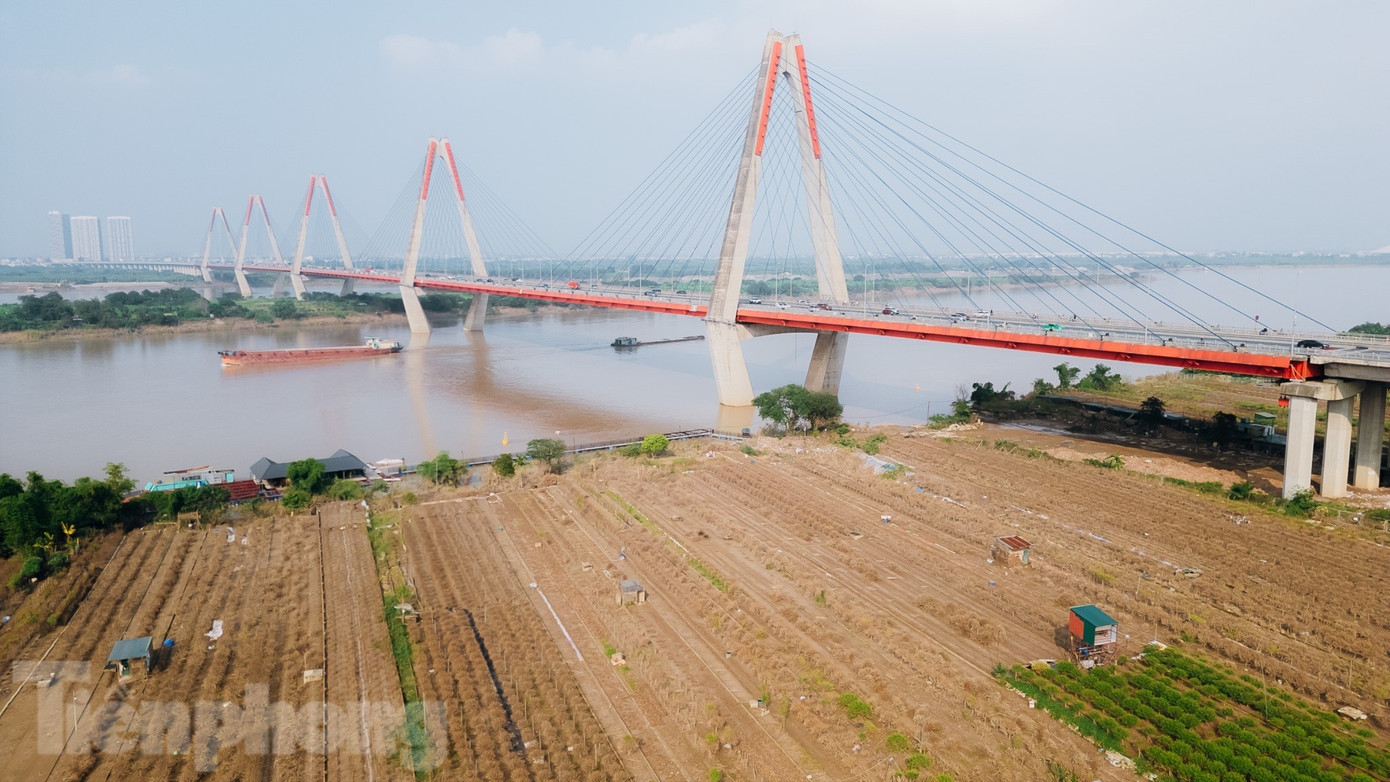 dji-0252-4181.jpg