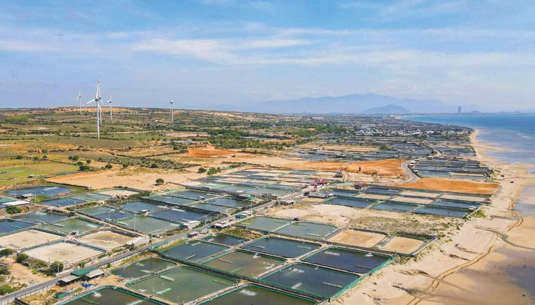 Nhà máy điện hạt nhân đầu tiên của Việt Nam có đề xuất mới giữa lúc gặp khó- Ảnh 2. Nhà máy điện hạt nhân đầu tiên của Việt Nam có đề xuất mới giữa lúc gặp khó- Ảnh 2.