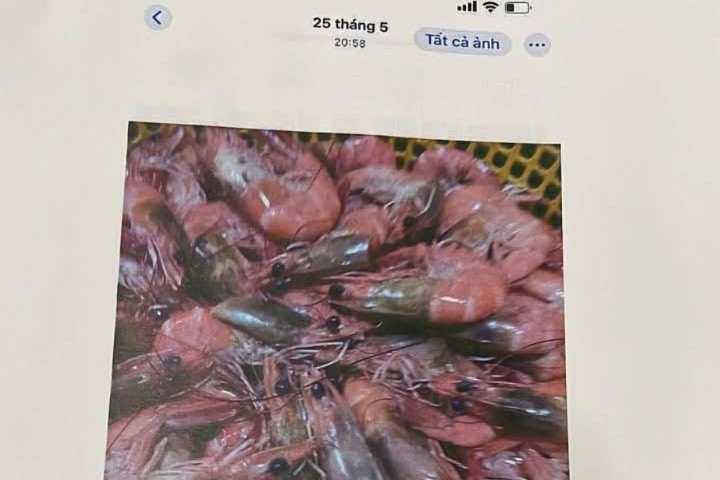 Thực phẩm không đạt chất lượng được Tổ phó bếp bán trú chụp lại. z7017688554158-93660ea5876ba7d71c54772d1b58a233-245.jpg