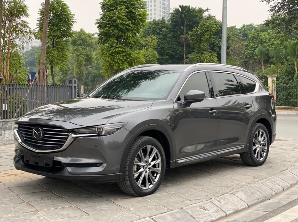 cx-8-1.jpg