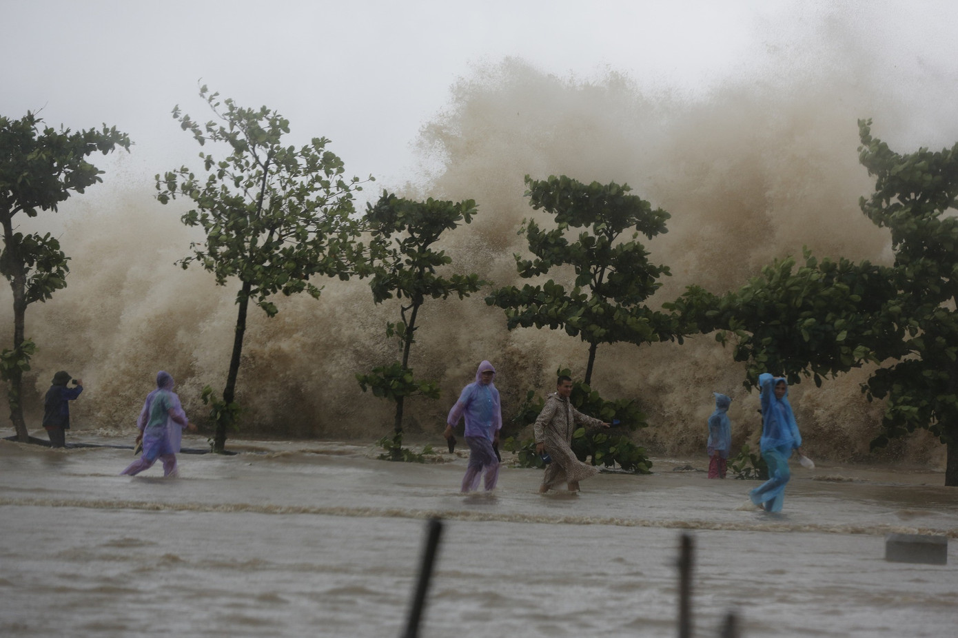 Biển Đông có thể đón cơn bão thứ 12 vào cuối tuần này. 458772208-8280957015280359-668806853065884323-n.jpg