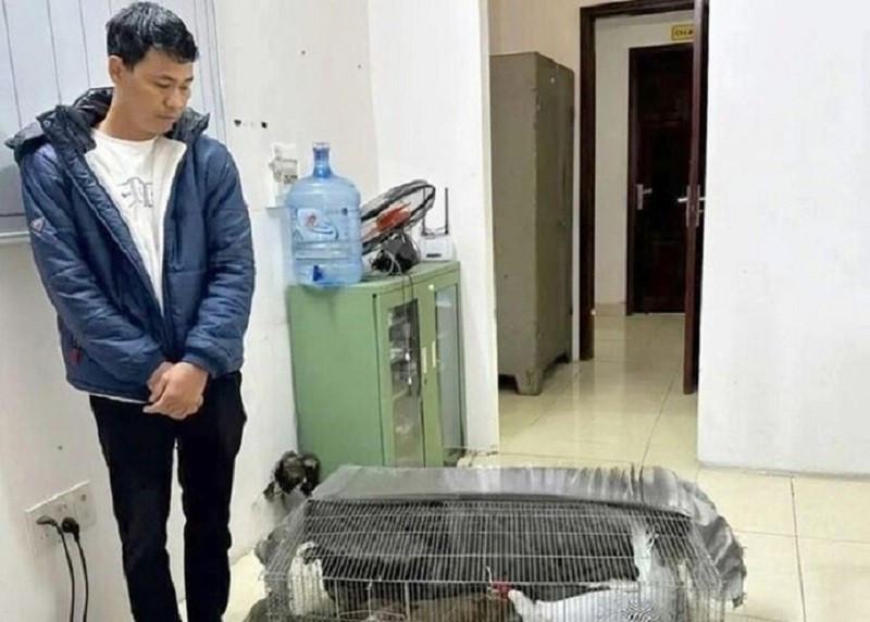 Thái Khắc Thành được thả tự do tại tòa - ảnh 1