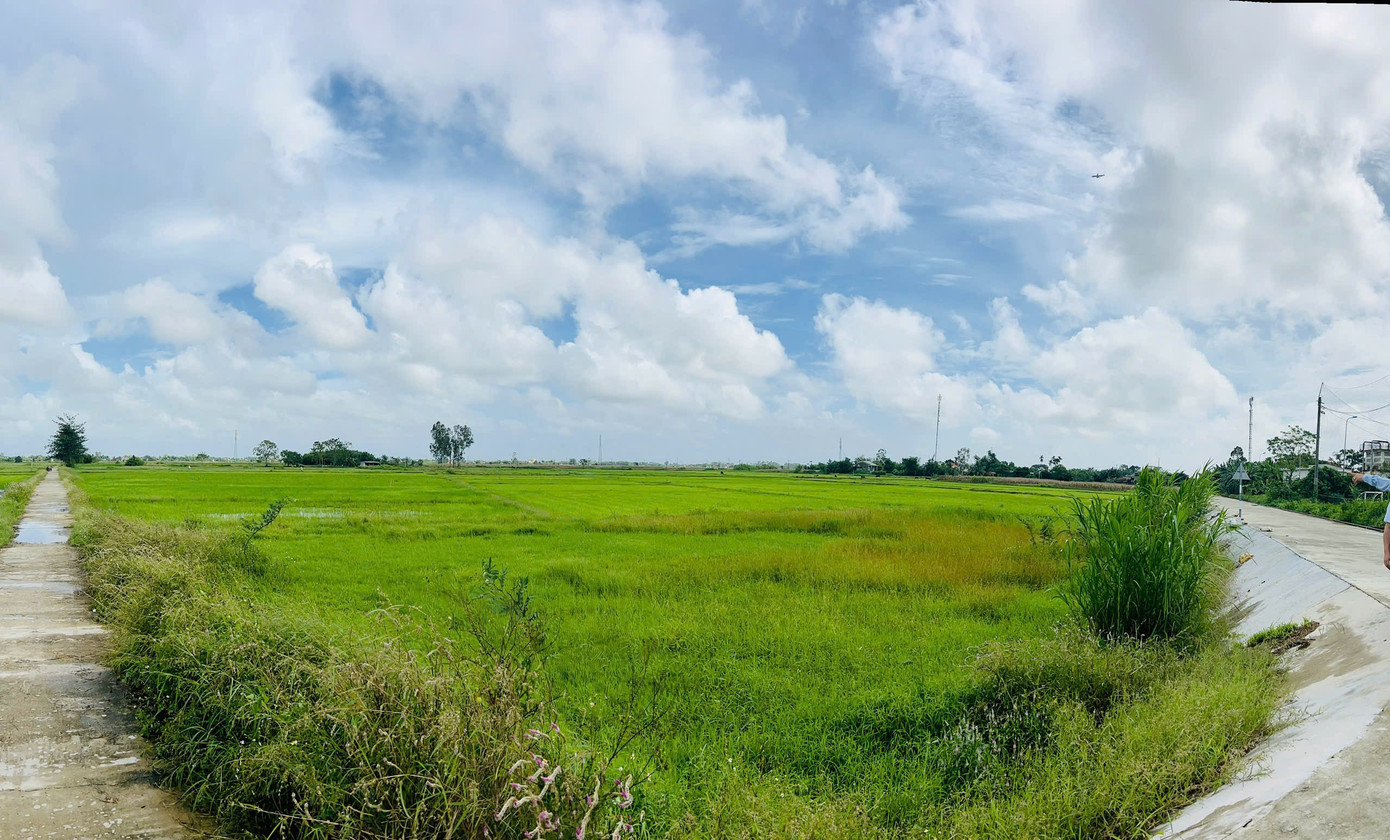 Khu vực thuộc xã Gò Nổi, dự kiến xây khu tái định cư phục vụ dự án. go-noi-khu-vuc-vu-kien-xay-dung-khu-tai-dinh-cu-phuc-vu-du-an-duong-sat-toc-do-cao-bac-nam.jpg