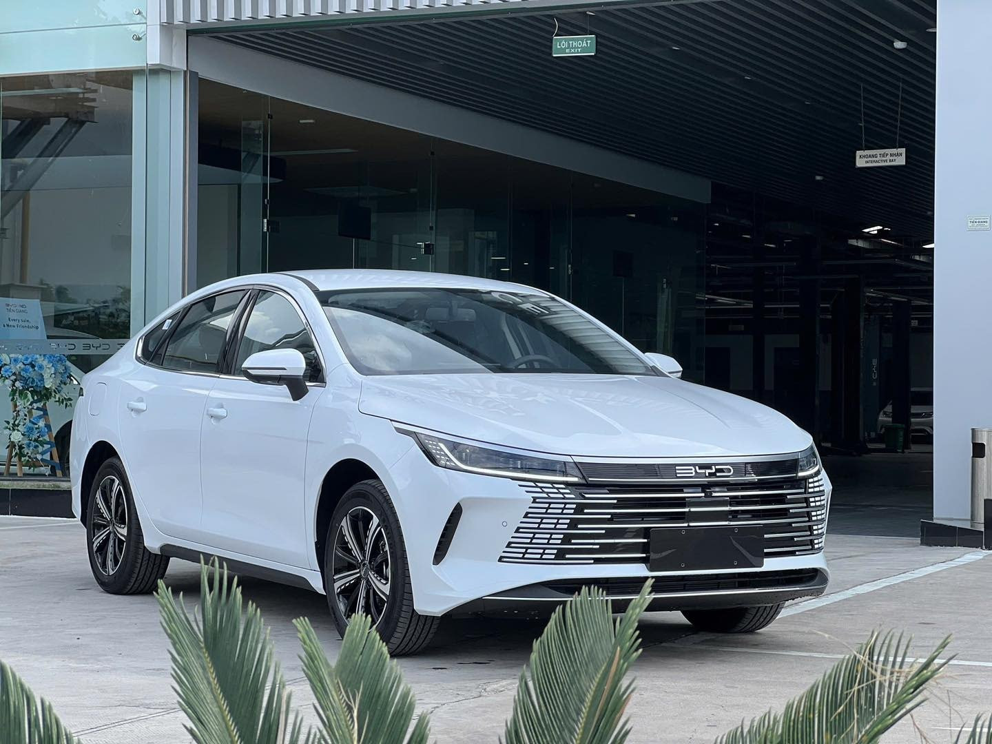 xe-phev-seal-5-2.jpg