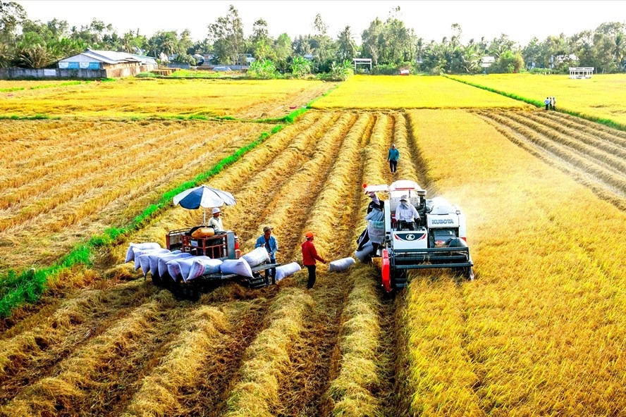 Từ bây giờ, xây nhà trên đất nông nghiệp sẽ bị phạt rất nặng- Ảnh 1.