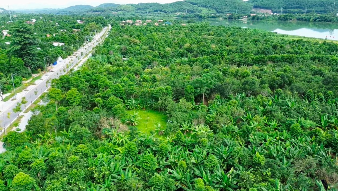 2-buoi-thanh-tra-hue.jpg