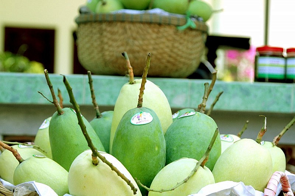 xuat-khau-xoai-cua-vn-2.png