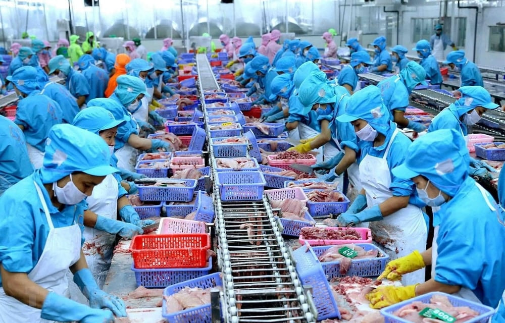 Thuế đối ứng 'thổi bay' gần 200 tỷ của công ty thủy sản có 5.400 nhân sự