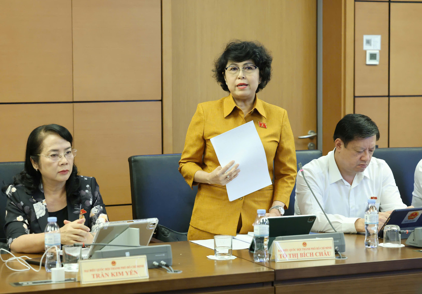 Đại biểu Tô Thị Bích Châu (TPHCM). Ảnh: Như Ý 2110chau.jpg