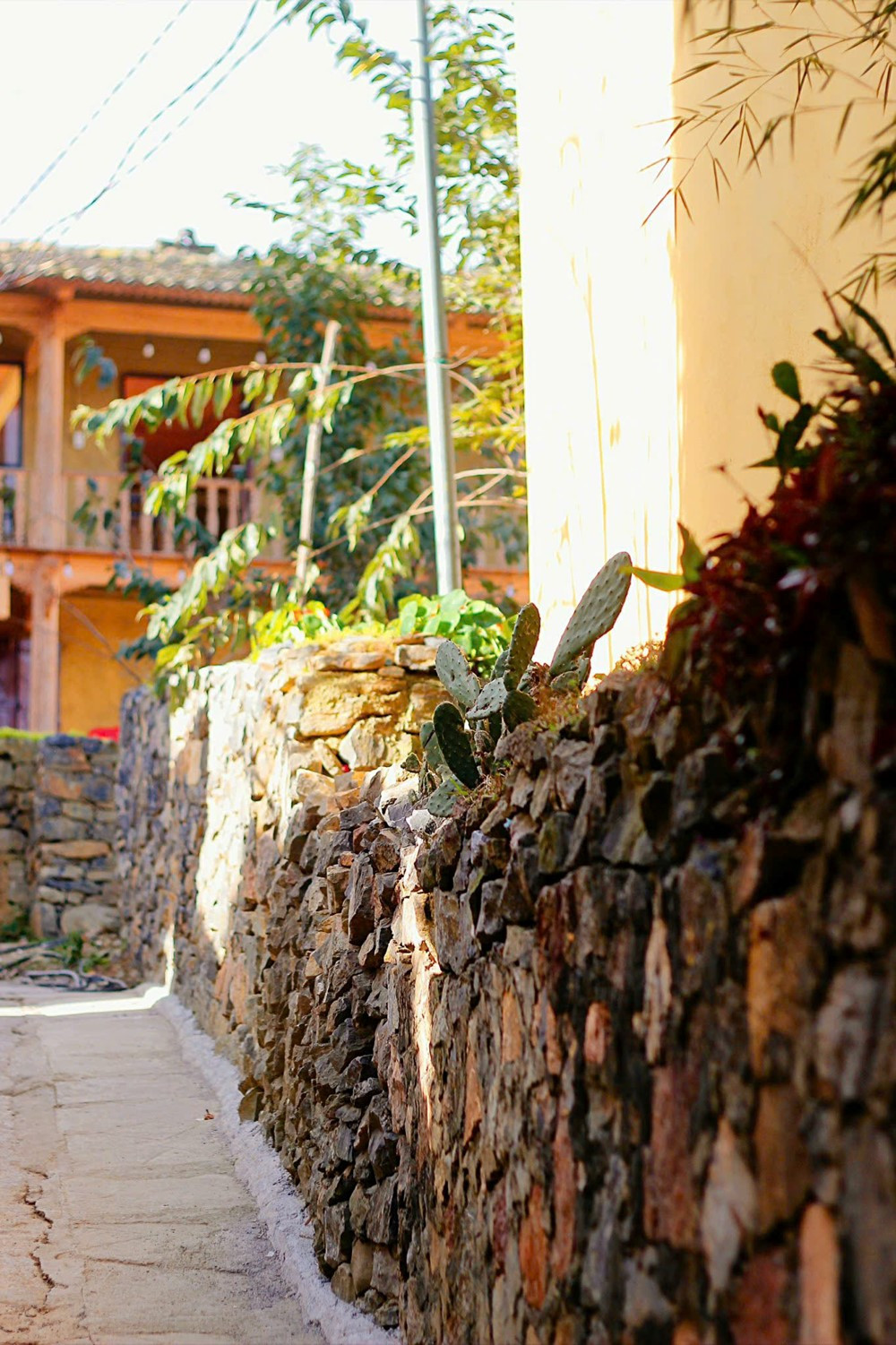 ‘Làng du lịch tốt nhất thế giới’ của Việt Nam: Từ bản nghèo vùng biên viễn thành 'làng cổ tích' nổi tiếng toàn cầu - ảnh 3