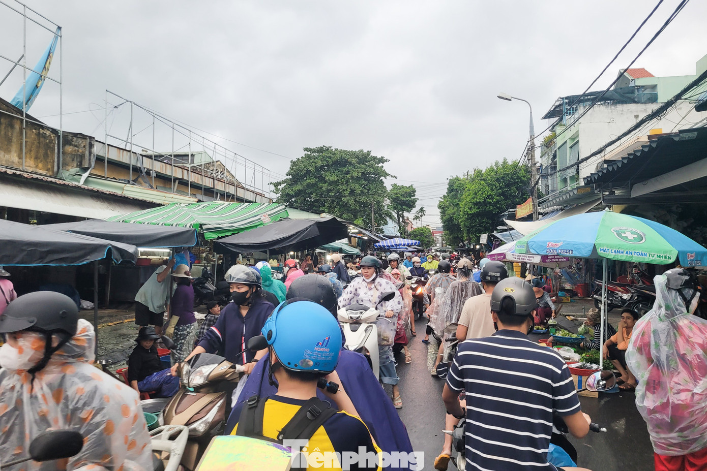 Ông Nguyễn Xuân Tuấn, Trưởng Ban quản lý chợ đầu mối Hòa Cường cho biết, trong hôm này, có khoảng 250 tấn rau, củ về chợ đầu mối. Hàng về bình thường như mọi ngày, giá cả tăng nhẹ khoảng 2.000 đồng/kg. 7-ong-xuan-tuan.jpg