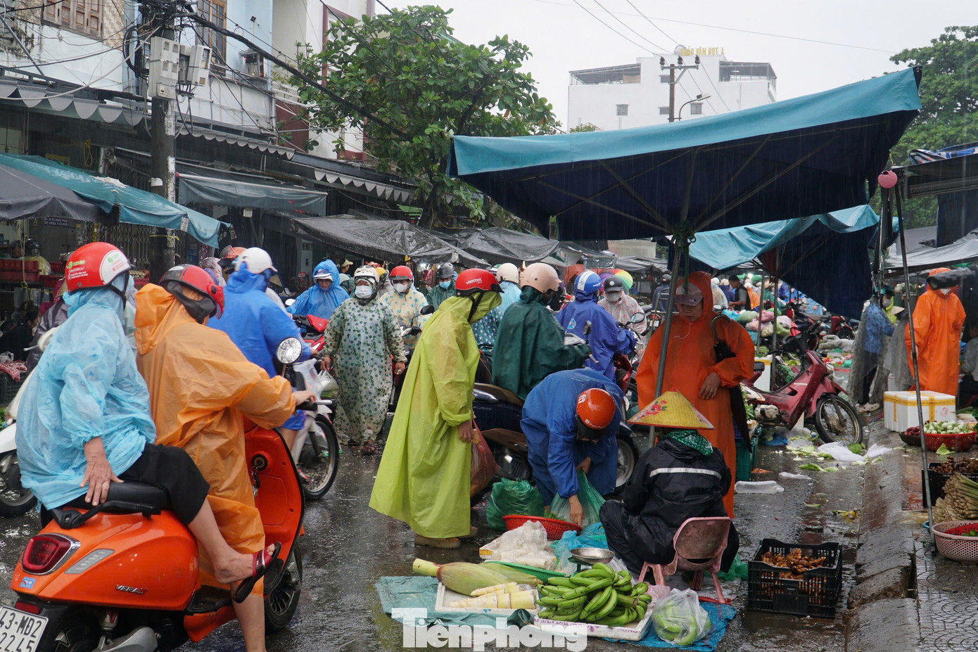 Đây là khu vực tập trung đông các trường đại học, cao đẳng, khu công nghiệp nên sinh viên thuê trọ, công nhân rất đông. Bởi vậy, nhu cầu mua sắm của người dân rất lớn. 6-cho-hoa-khanh.jpg
