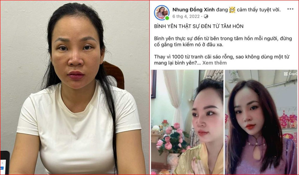 Khởi tố 'Nhung Đồng Xinh' - ảnh 1