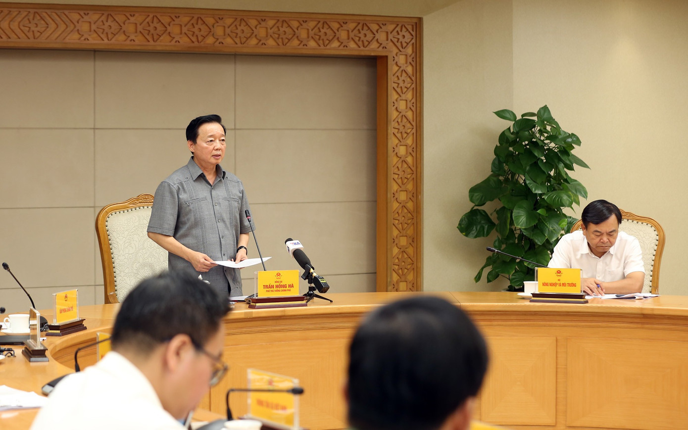 Phó Thủ tướng Trần Hồng Hà phát biểu. Ảnh: VGP 2210ptt.jpg