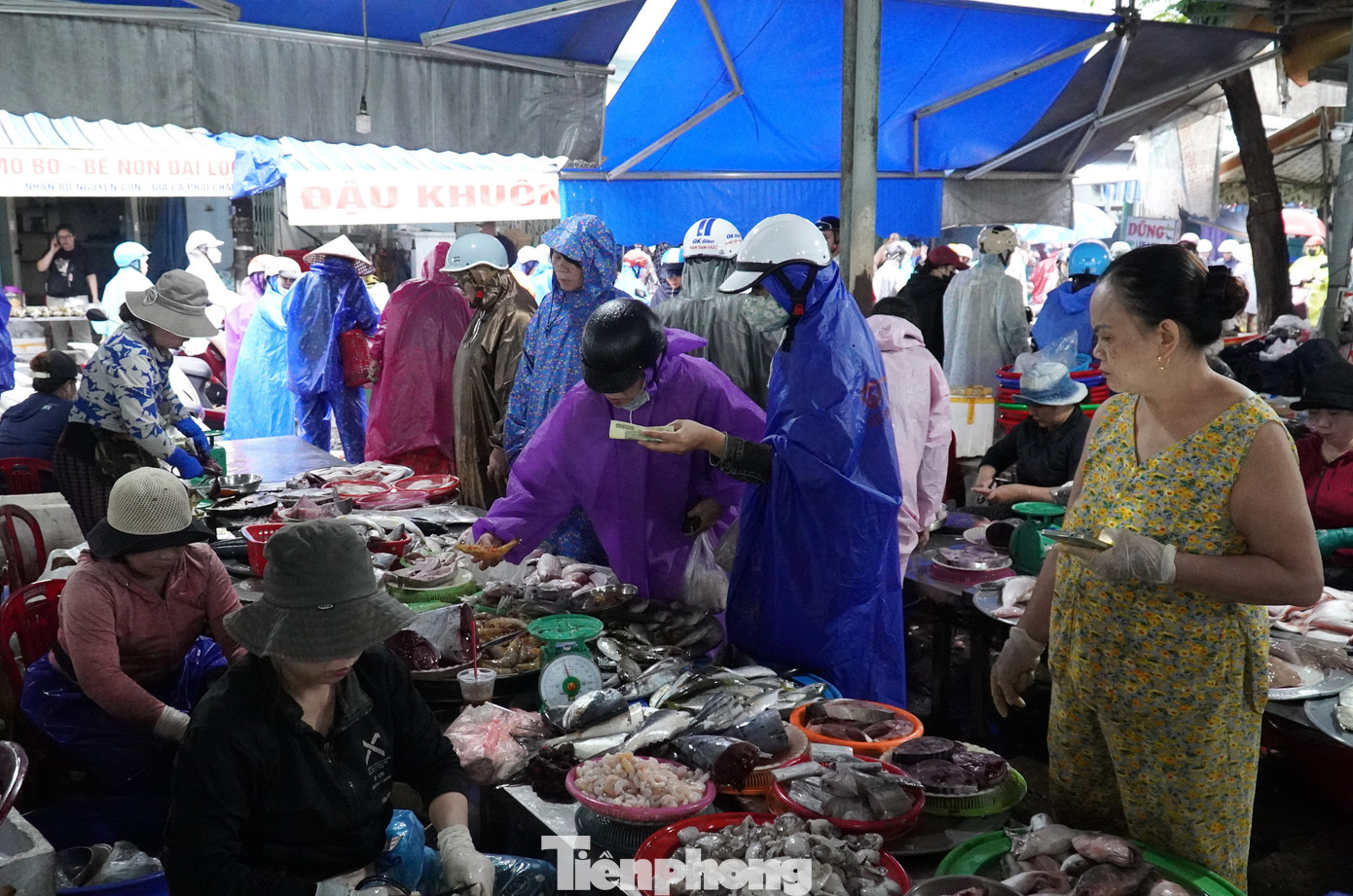 Hàng cá đắt khách, do những ngày tới mưa bão , không có thuyền đi biển. tp-thuc-pham-7.jpg