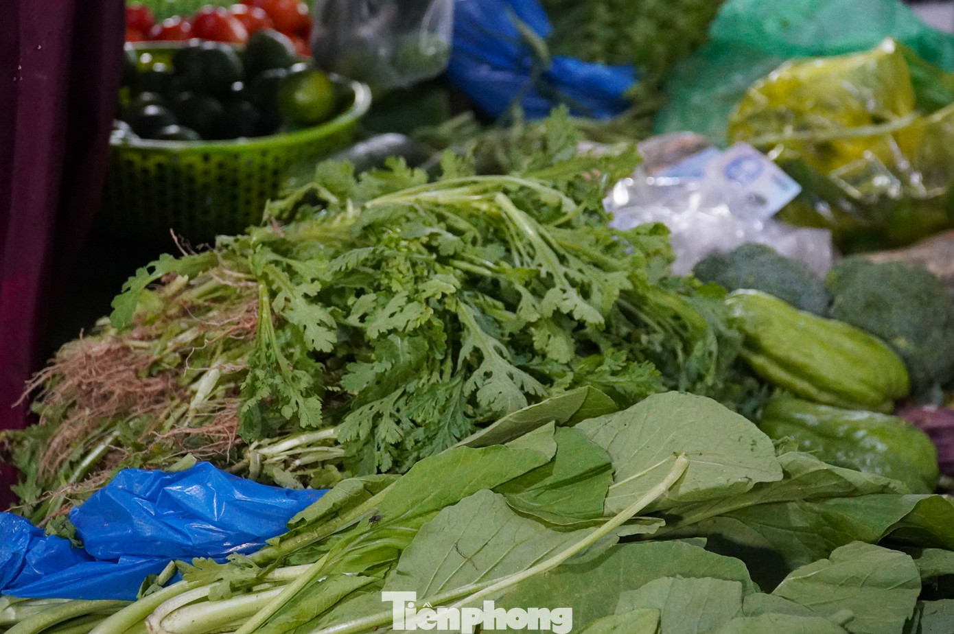 tp-thuc-pham-17.jpg