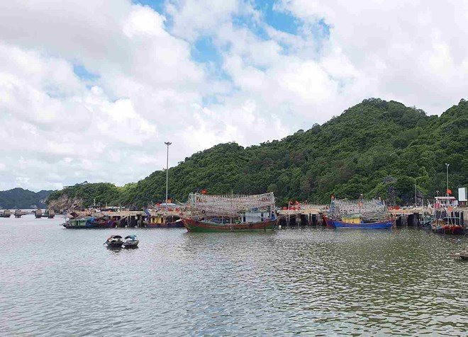 Công an thông báo tìm bị hại của Phó Giám đốc Nguyễn Văn Nam