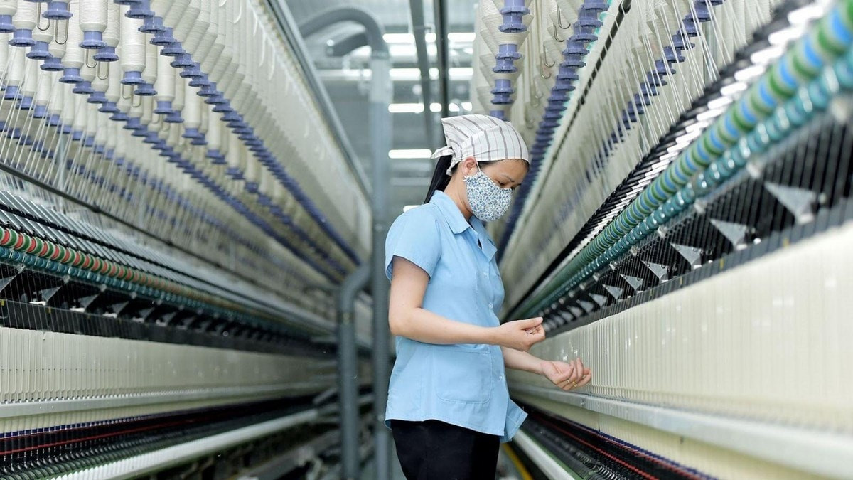 Ông lớn ngành dệt báo lãi quý III/2025 giảm 87%, nợ vay vượt vốn chủ sở hữu Ông lớn ngành dệt báo lãi quý III/2025 giảm 87%, nợ vay vượt vốn chủ sở hữu