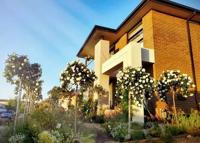 Biệt thự 1.000m² của 'Quán quân Olympia giàu nhất': Sở hữu bể bơi riêng, được ví như 'thiên đường nghỉ dưỡng' - ảnh 8