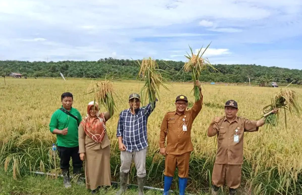 Hai nền kinh tế top đầu Đông Nam Á cấm nhập khẩu gạo, Việt Nam thiệt đơn thiệt kép - ảnh 1