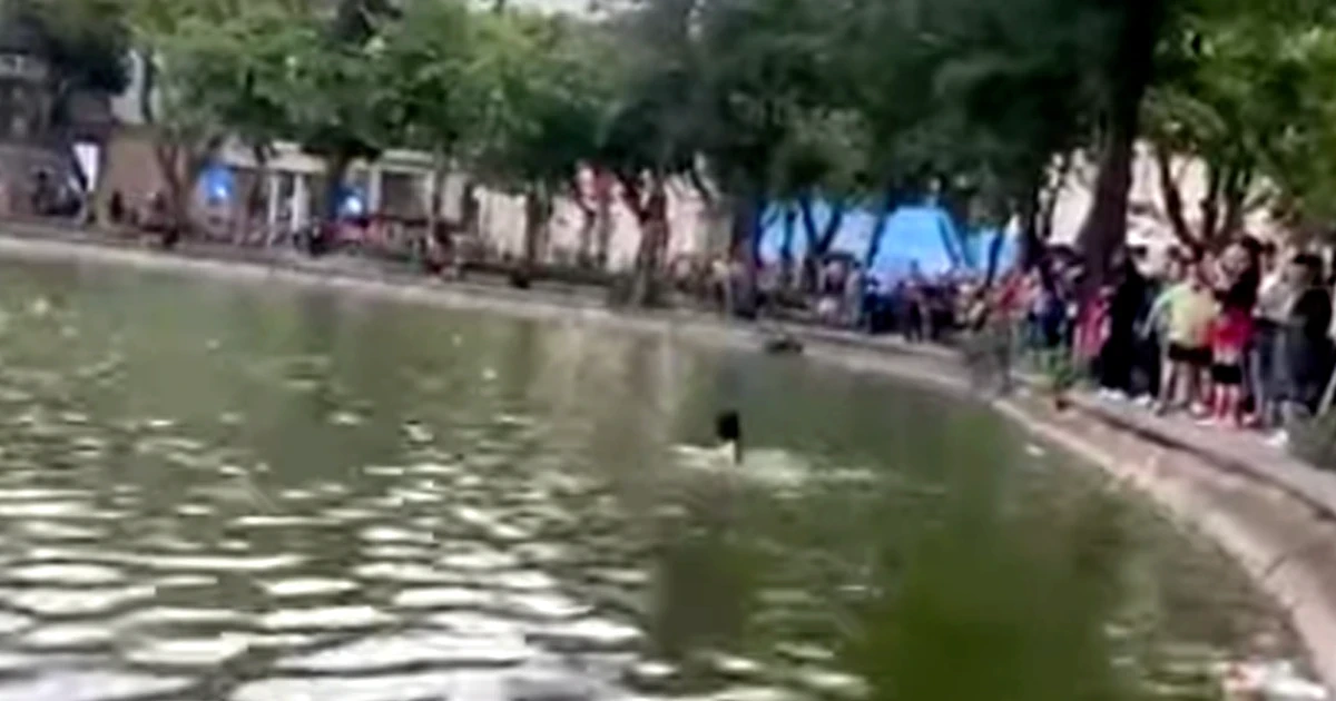 Thông tin chính thức về vụ người phụ nữ tử vong tại hồ Gươm